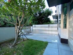 The Vision (D5), Terrace #466786041